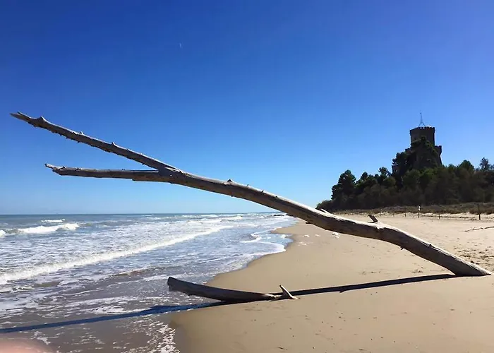 Al Belvedere לינה וארוחת בוקר אטרי